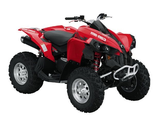 Musterbericht CanAm Renegade 800 Typ: H